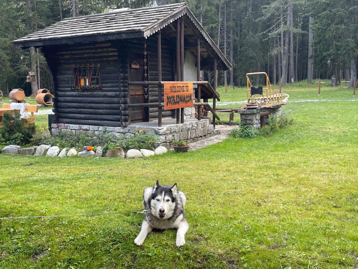 Wildhomes Wild Wolf Lodge クールマイユール エクステリア 写真