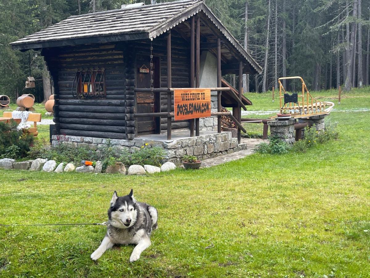 Wildhomes Wild Wolf Lodge クールマイユール エクステリア 写真