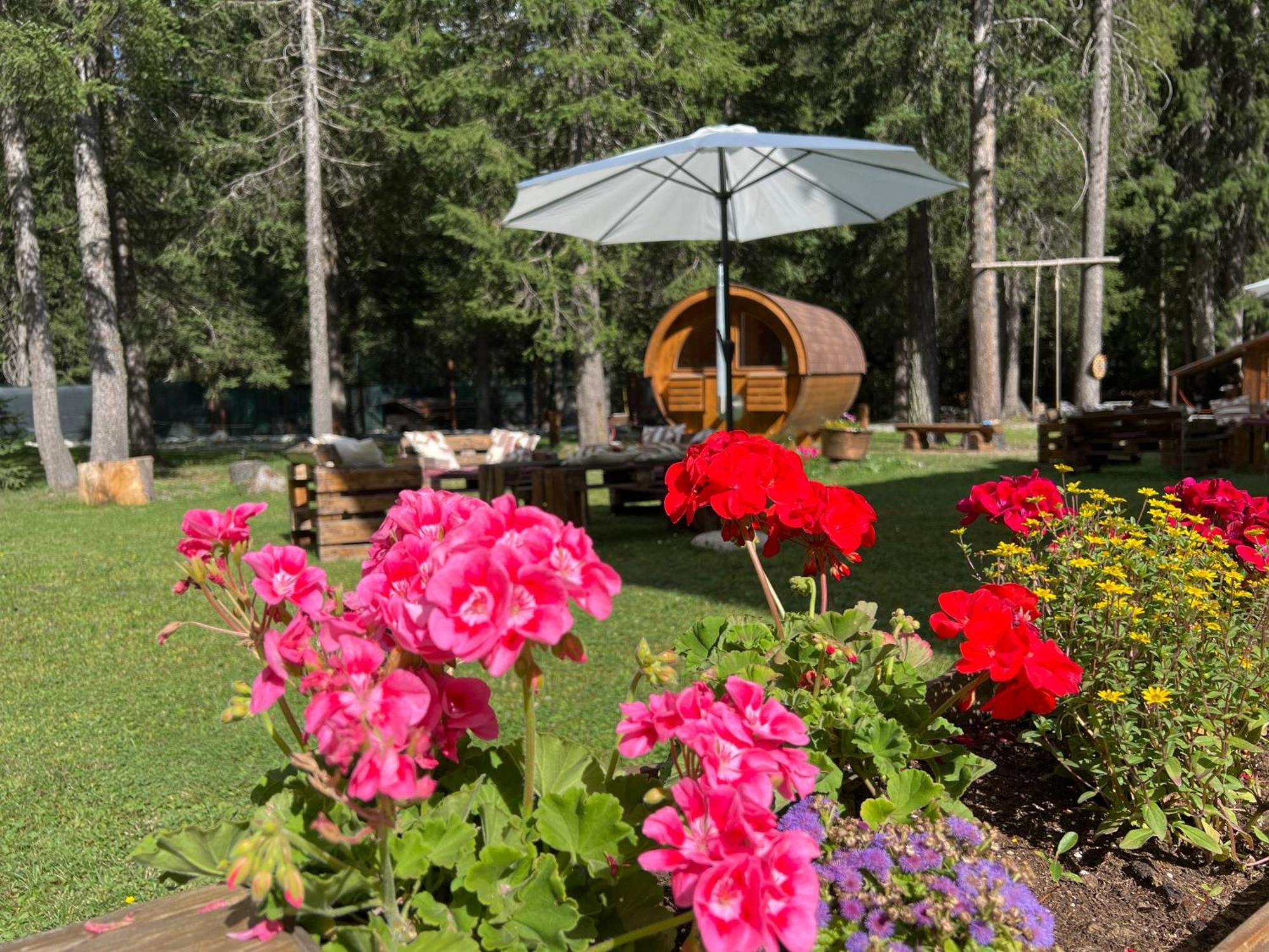 Wildhomes Wild Wolf Lodge クールマイユール エクステリア 写真